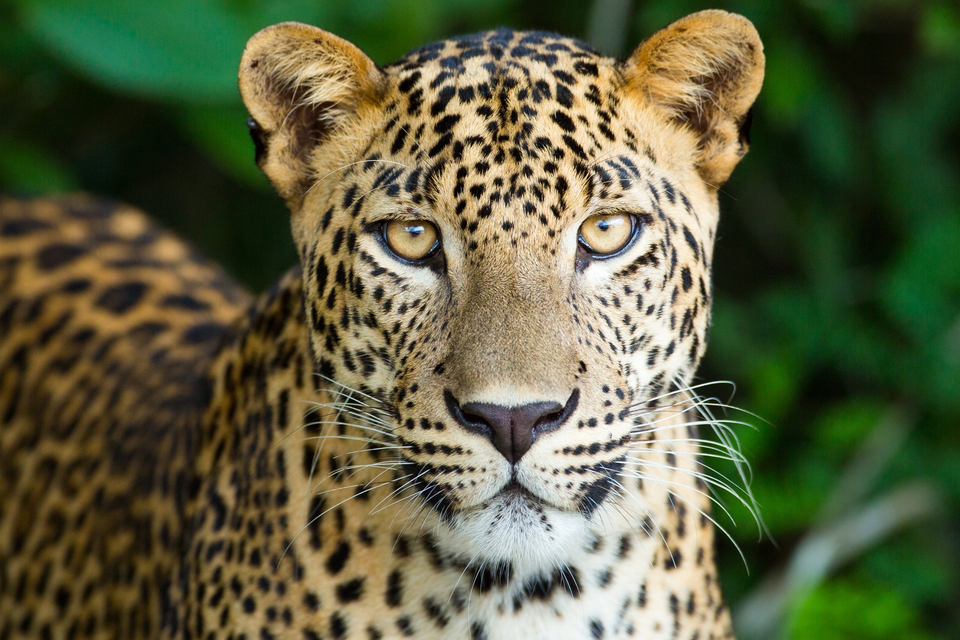 Découvrez pour vos séminaires à Lyon, le Parc Animalier de la Barben