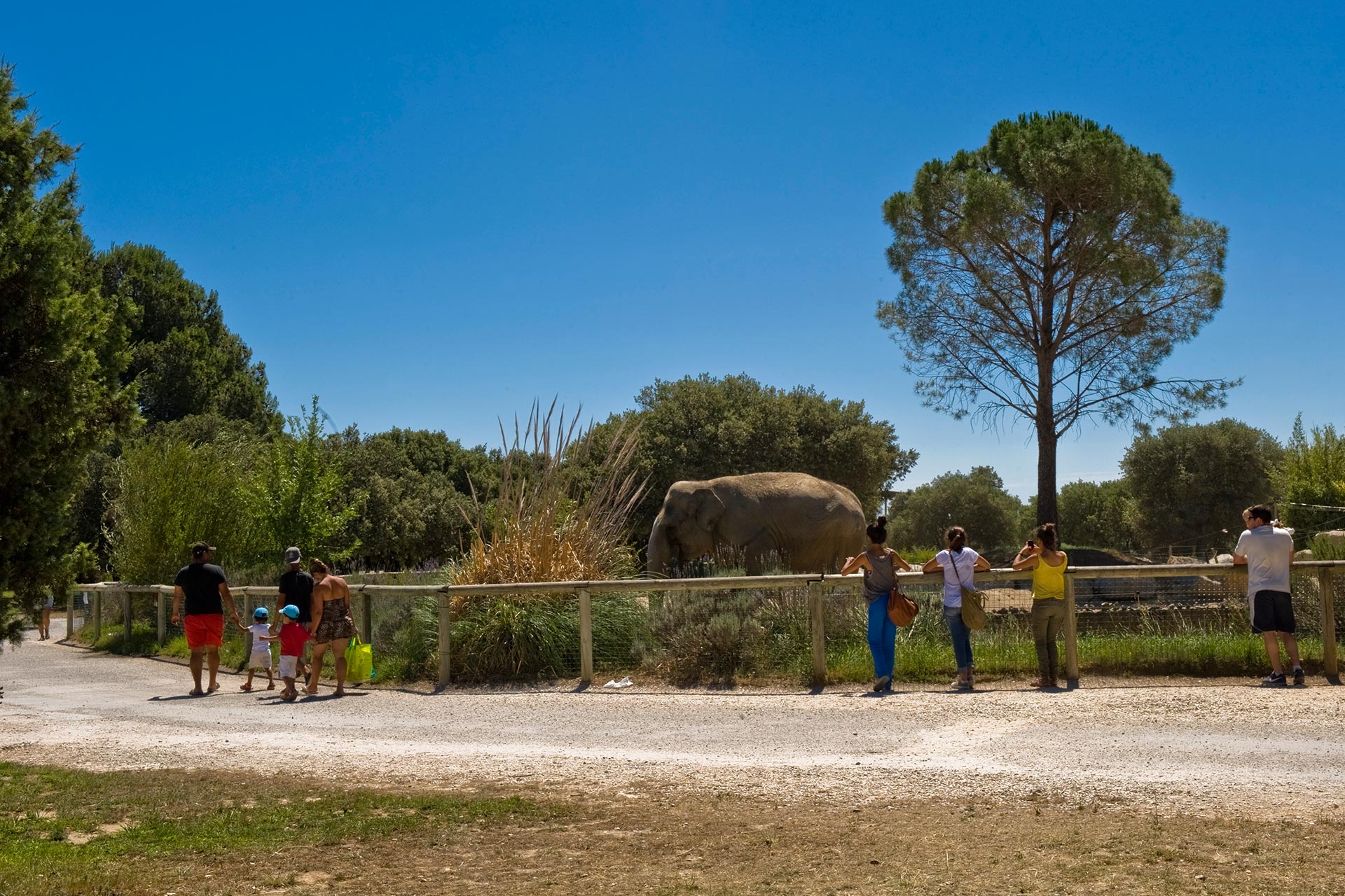 Découvrez pour vos séminaires à Lyon, le Parc Animalier de la Barben