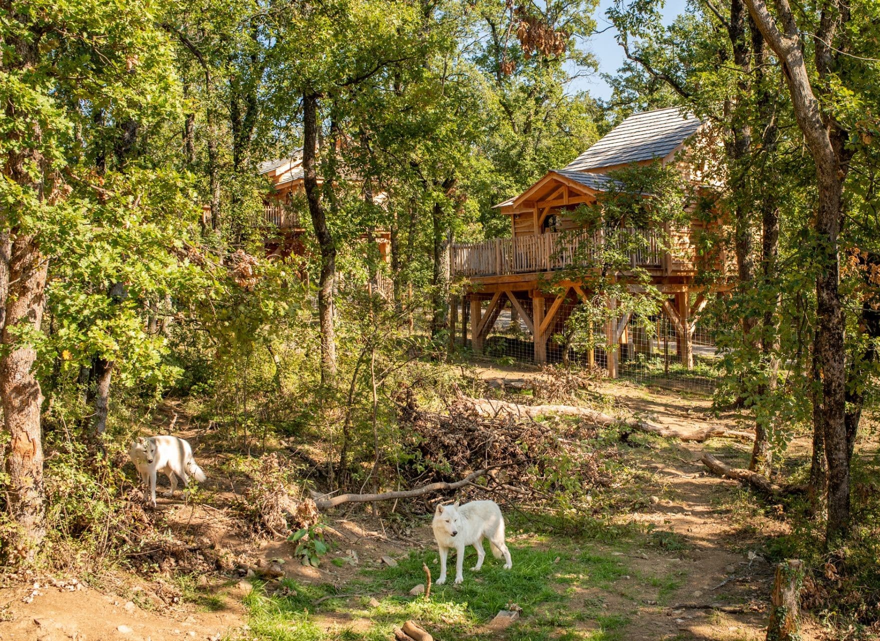 Cabane perchée safari de peaugres