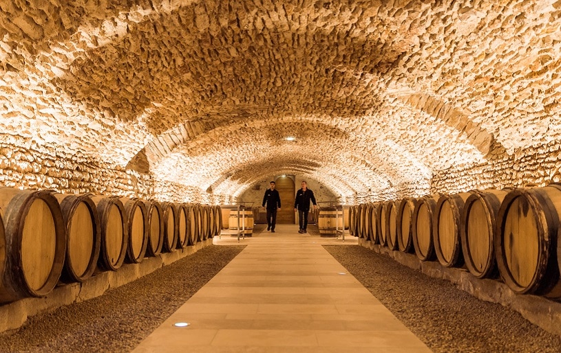 Le Château est implanté au cœur des vignes, l'occasion de découvrir ses vins dans l'espace œnologique, ou dans la cave voûtée