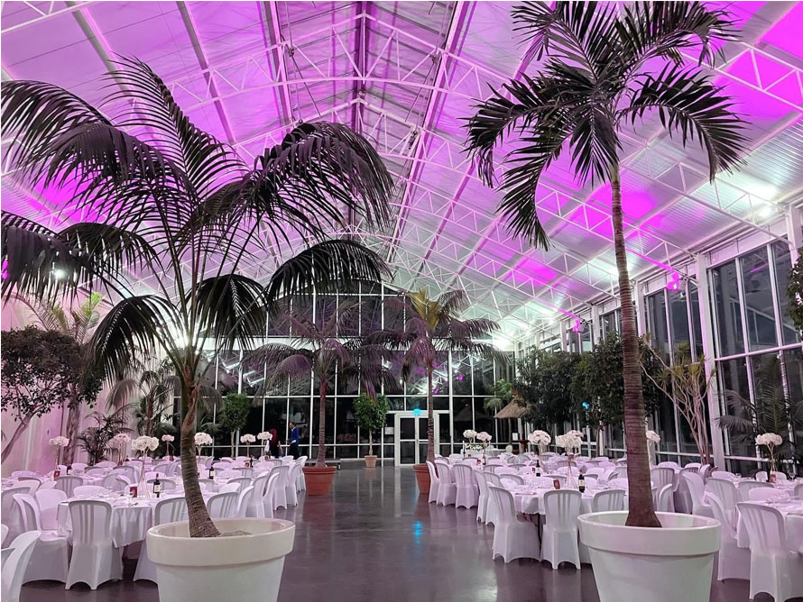 Location Salle Reception La Palmeraie De La Tour Lyon