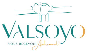 Logo Valsoyo