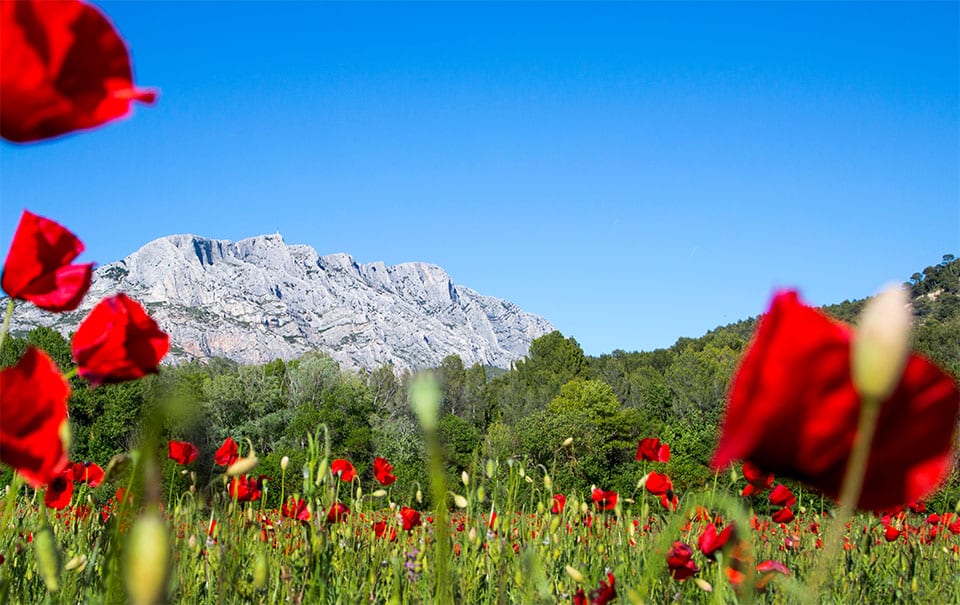 Découvrez le Bureau Des Congrès Aix Marseille Provence pour vos séminaires