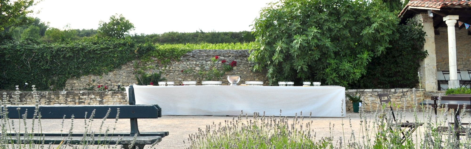 Buffet en plein air au Domaine Albert avec décor champêtre