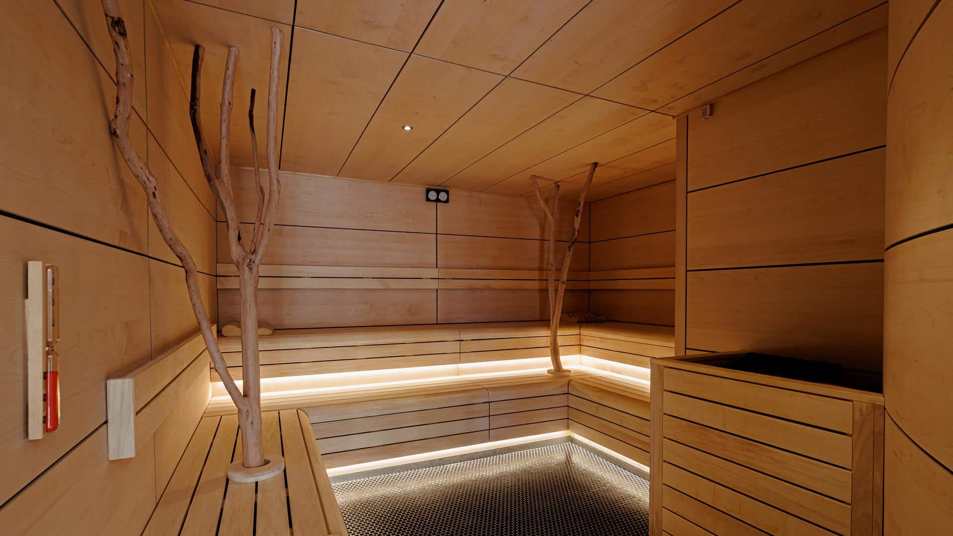 sauna spa détente domaine dolomieu incentive