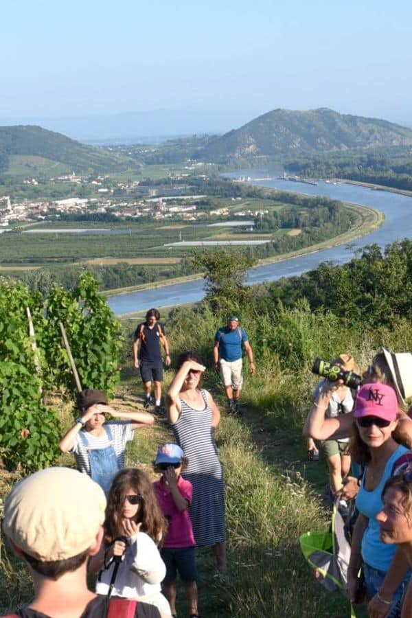 Les balades gourmandes vous emmènent à la rencontre de producteurs locaux et de marchés pittoresques