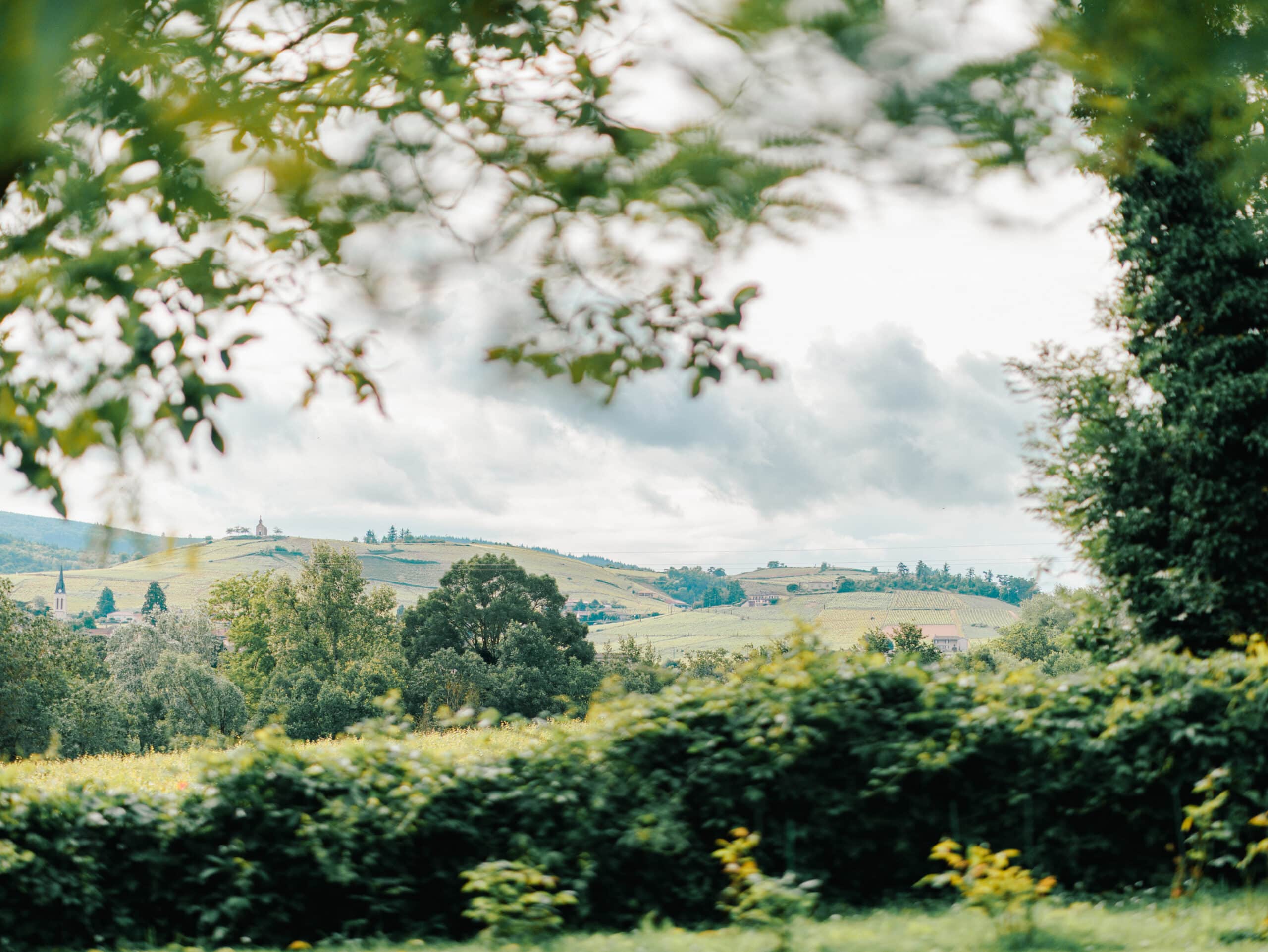 Paysage verdoyant autour des Maisons du Bonheur