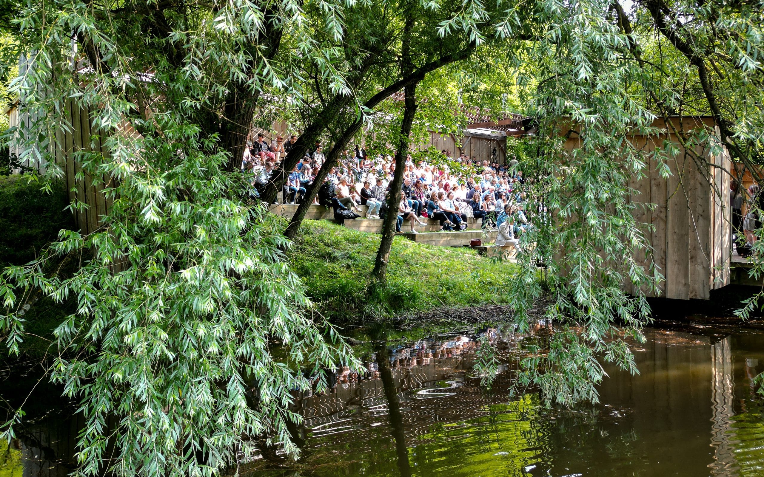 Amphithéâtre naturel en bois vu à travers les arbres depuis un plan d’eau