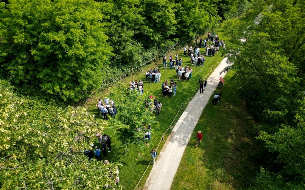 Des échanges informels et détendus au milieu des arbres.