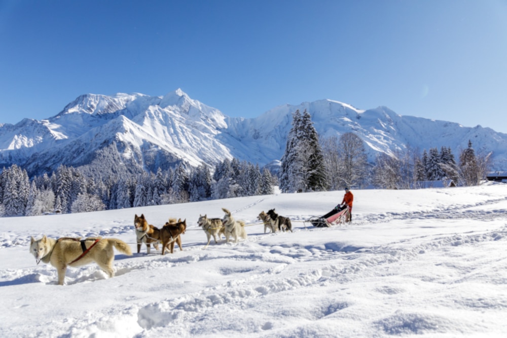 Balade en traîneau à Saint-Gervais Mont-Blanc