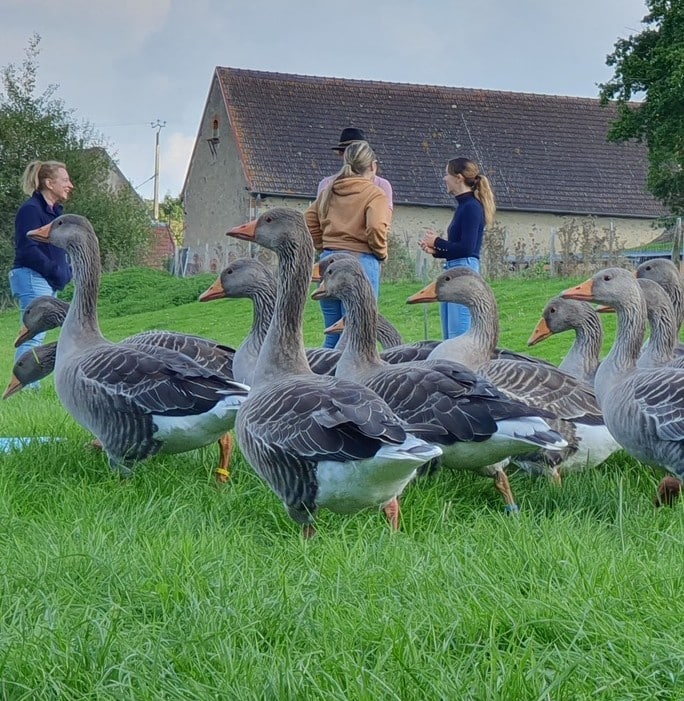 Activité en nature BG Connexion