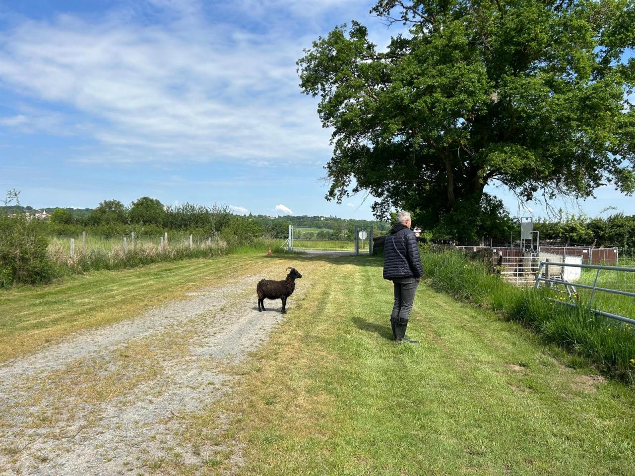 Chemin rural au cœur du domaine BG Connexion.