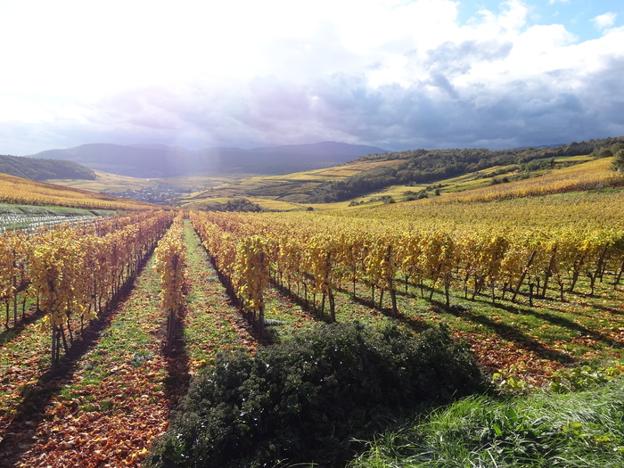 Cadre naturel et régional