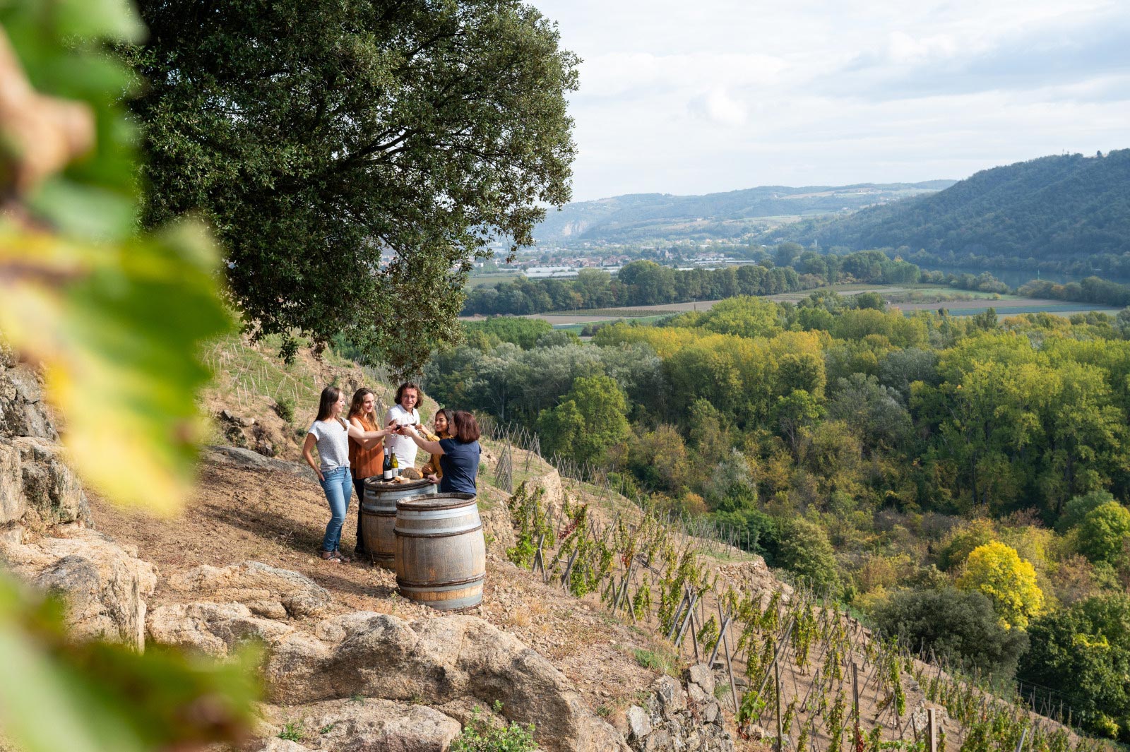Randonnée avec vue sur les vignobles de Vienne Condrieu