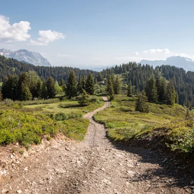Sentier de randonnée au Jaillet à Megève en été