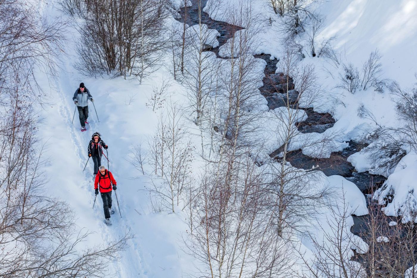 raquettes promenade neige team building hiver station