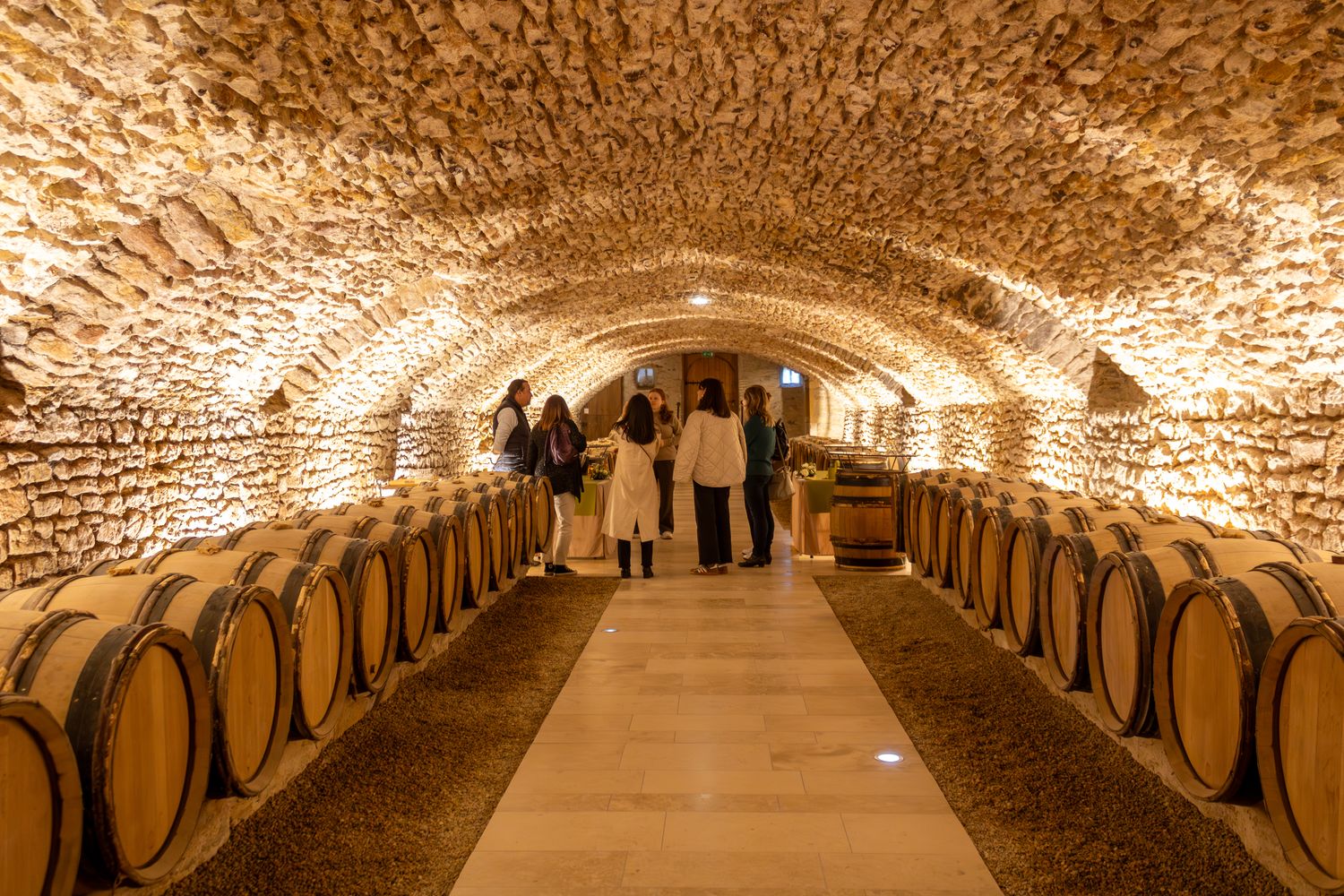 Dégustation de vins dans une cave voûtée en Bourgogne