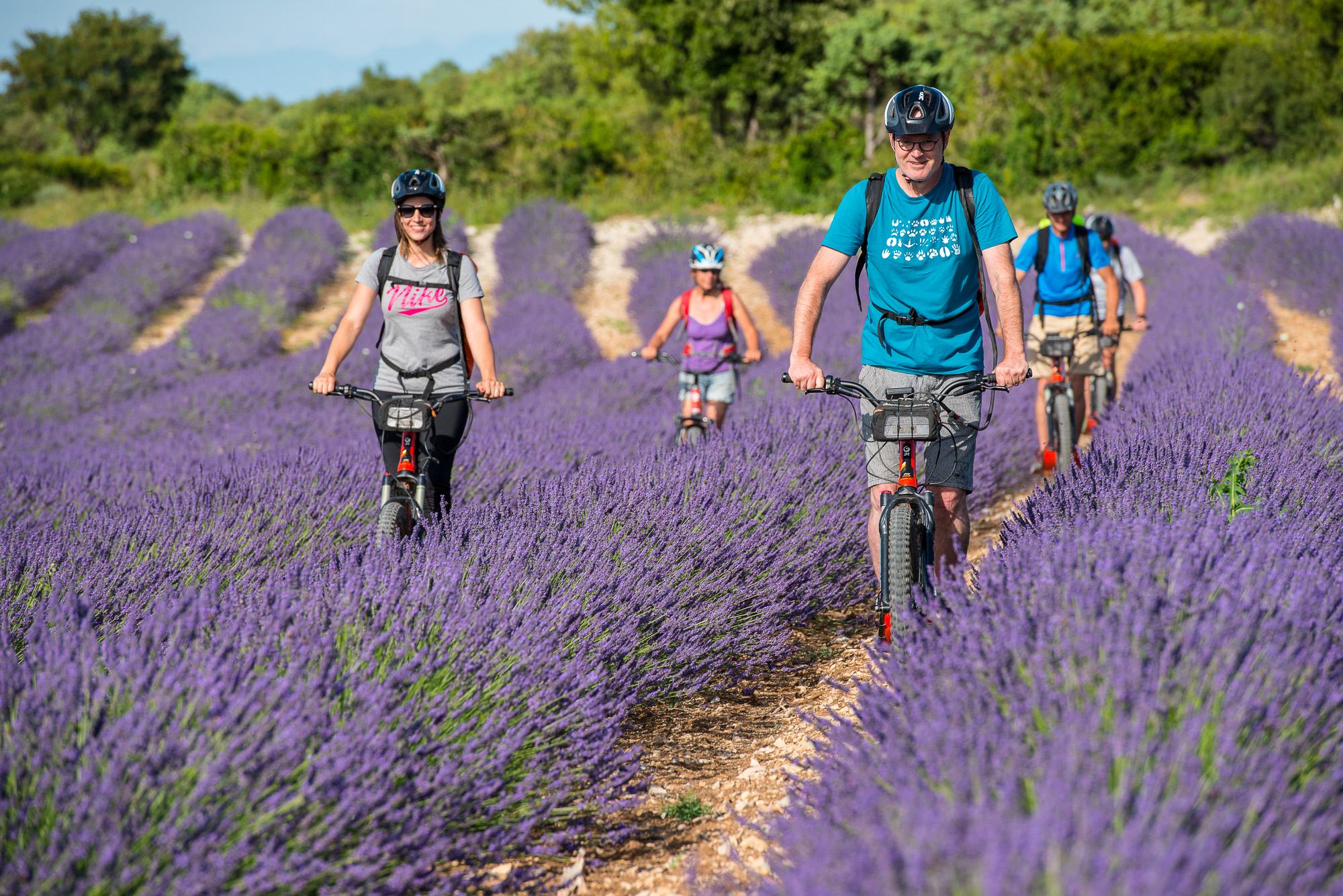 Team building en trottinette électrique dans les champs de lavande