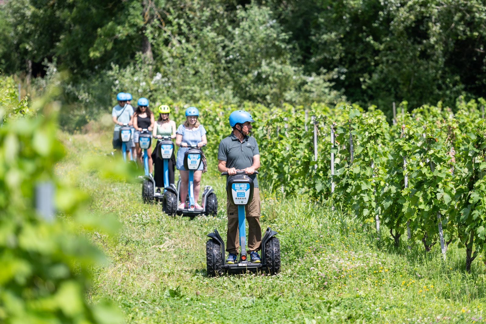 Balade en gyropode dans les vignobles de Vienne Condrieu