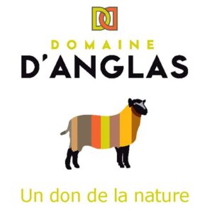 Camping - Domaine d'Anglas Camping