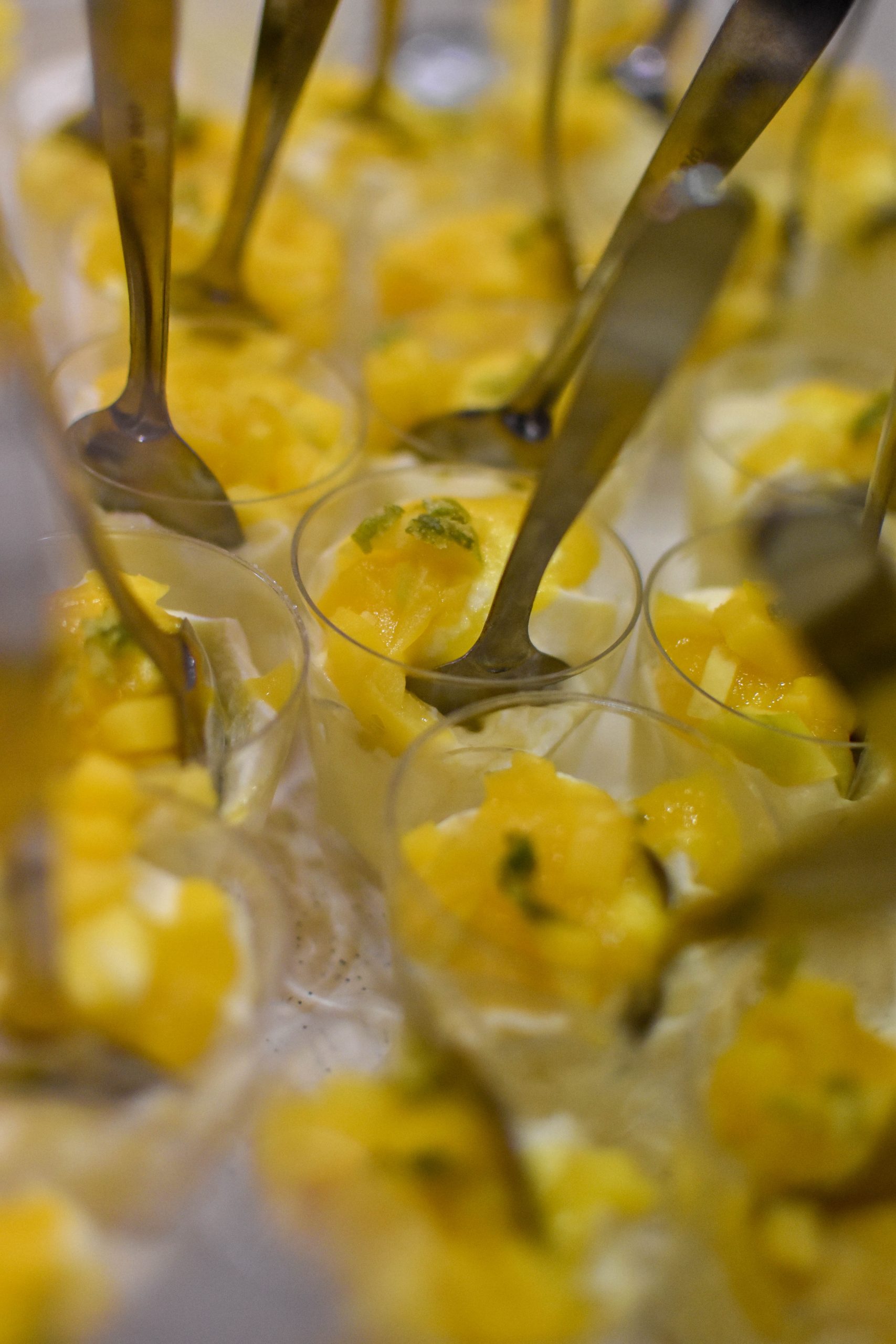 cocktail dinatoire CISL Lyon