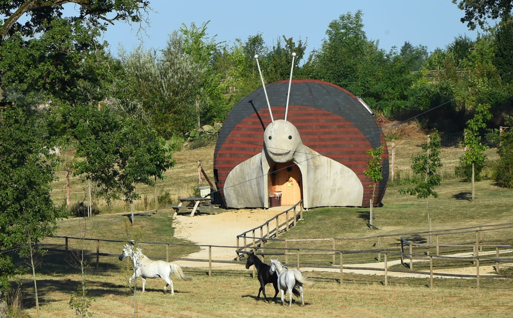 Maison en forme d’escargot – DéfiPlanet'
