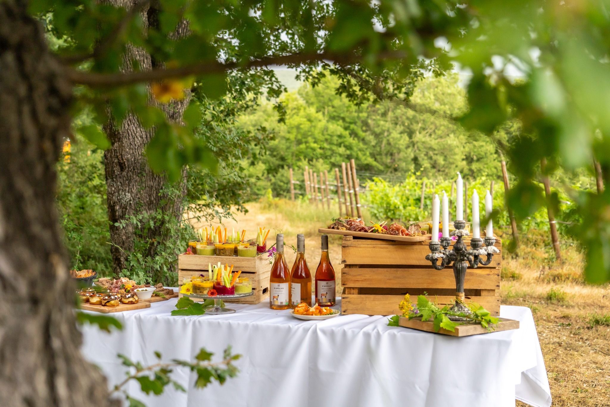 Domaine d’Anglas – Cocktail professionnel