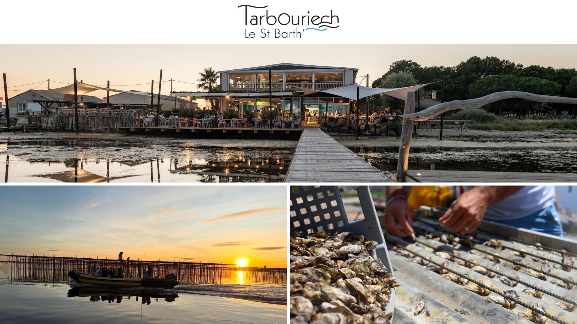 Domaine Tarbouriech au bord de l’étang de Thau, lieu pour séminaires et événements