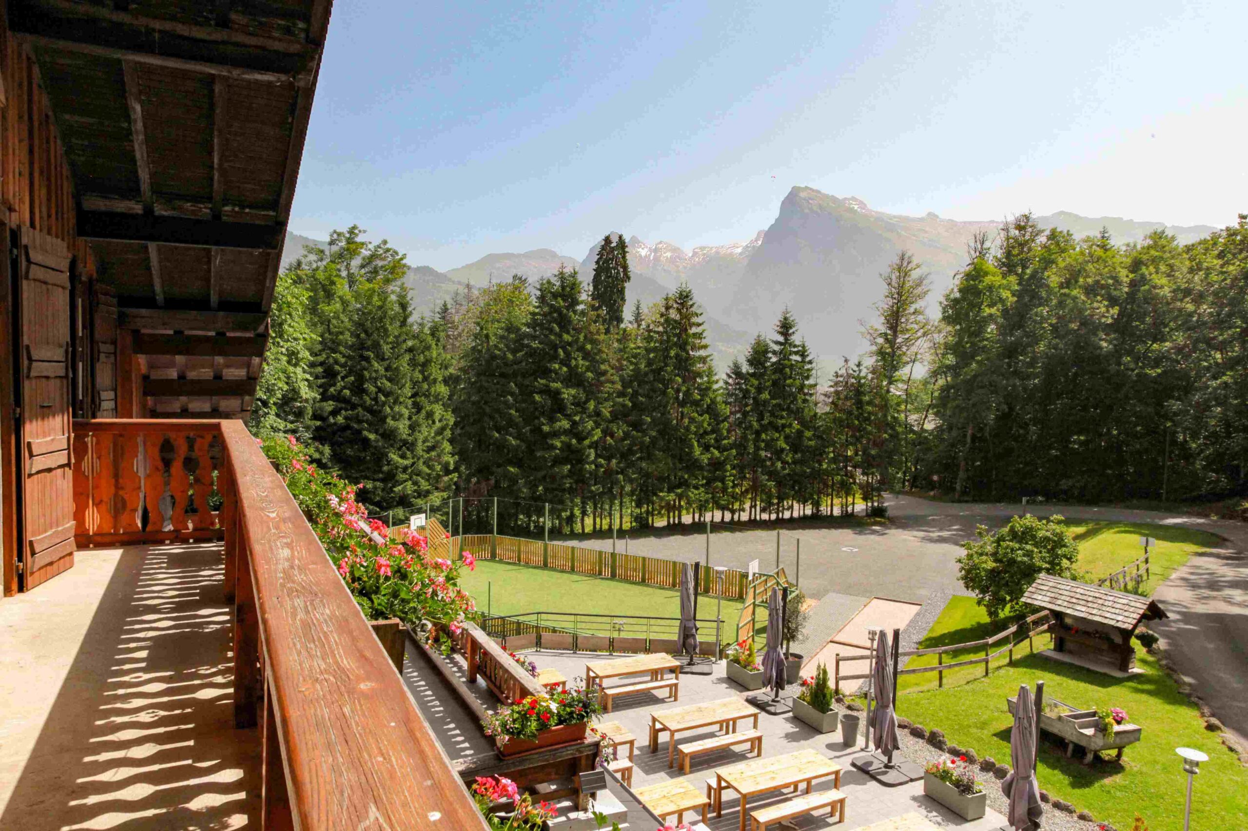 Vue montagne depuis la terrasse du Chalet Le Sauvageon