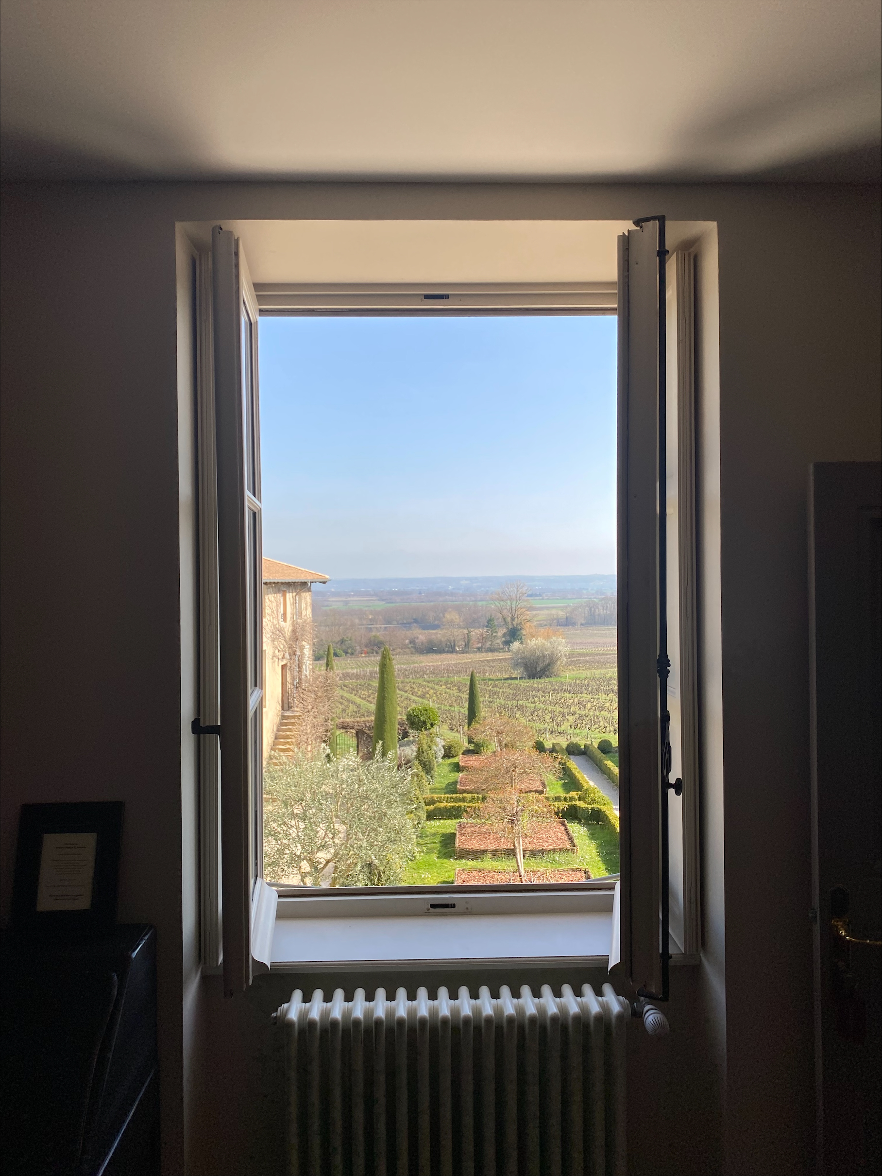 Vue panoramique sur les vignes depuis le Domaine Morgon La Javernière
