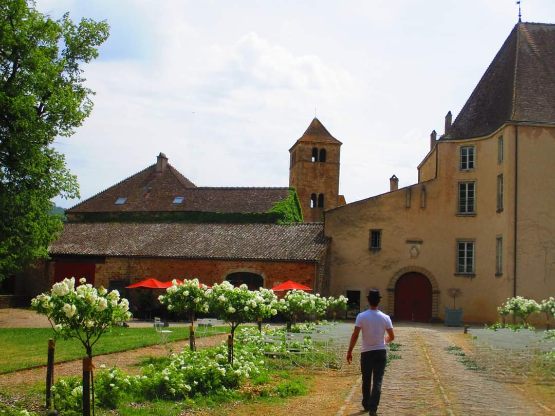 Excursions vignoble beaujolais Tasty Lyon séminaire