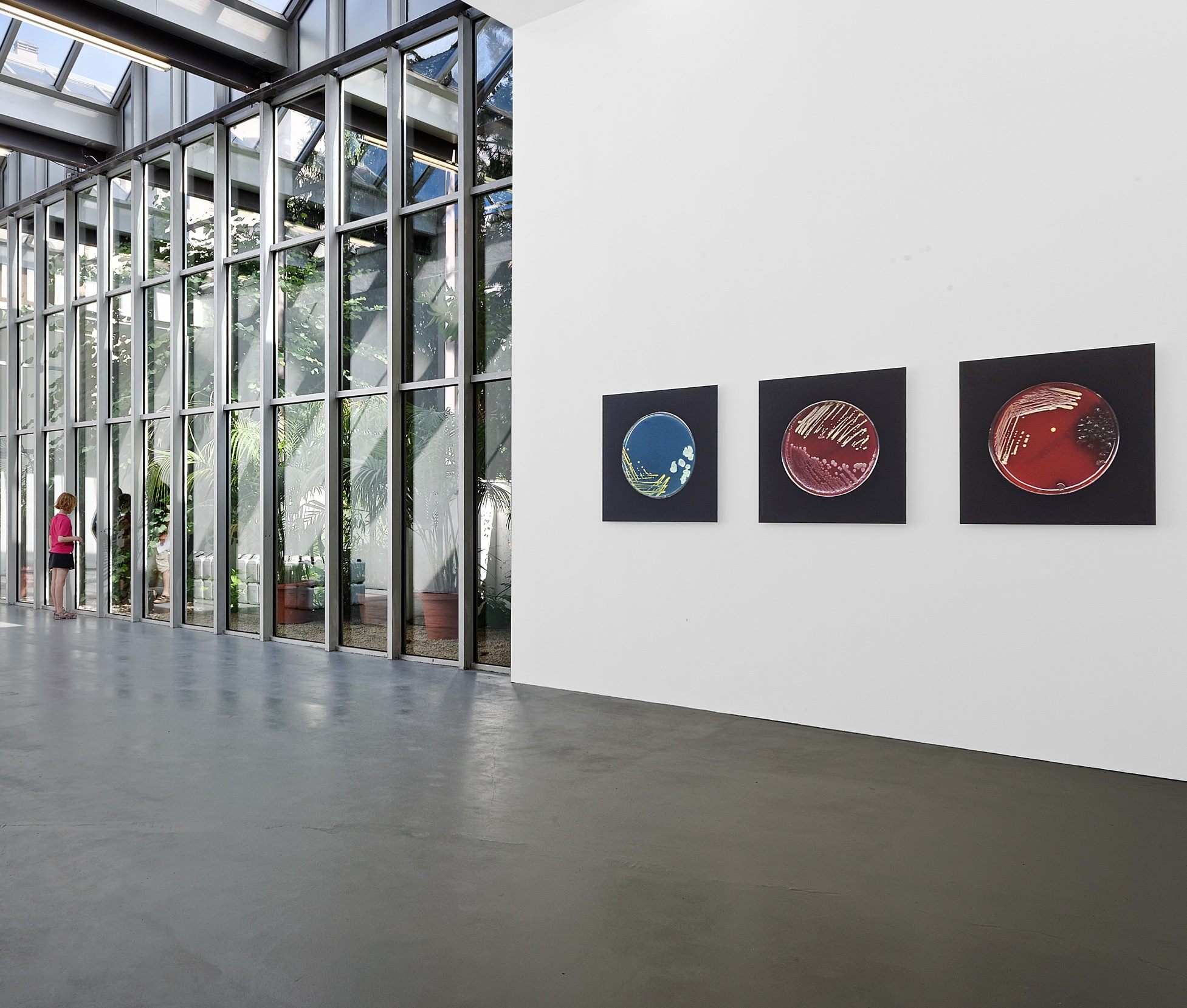 Vue sur l’espace d’exposition lumineux de l’Institut d’Art Contemporain de Lyon