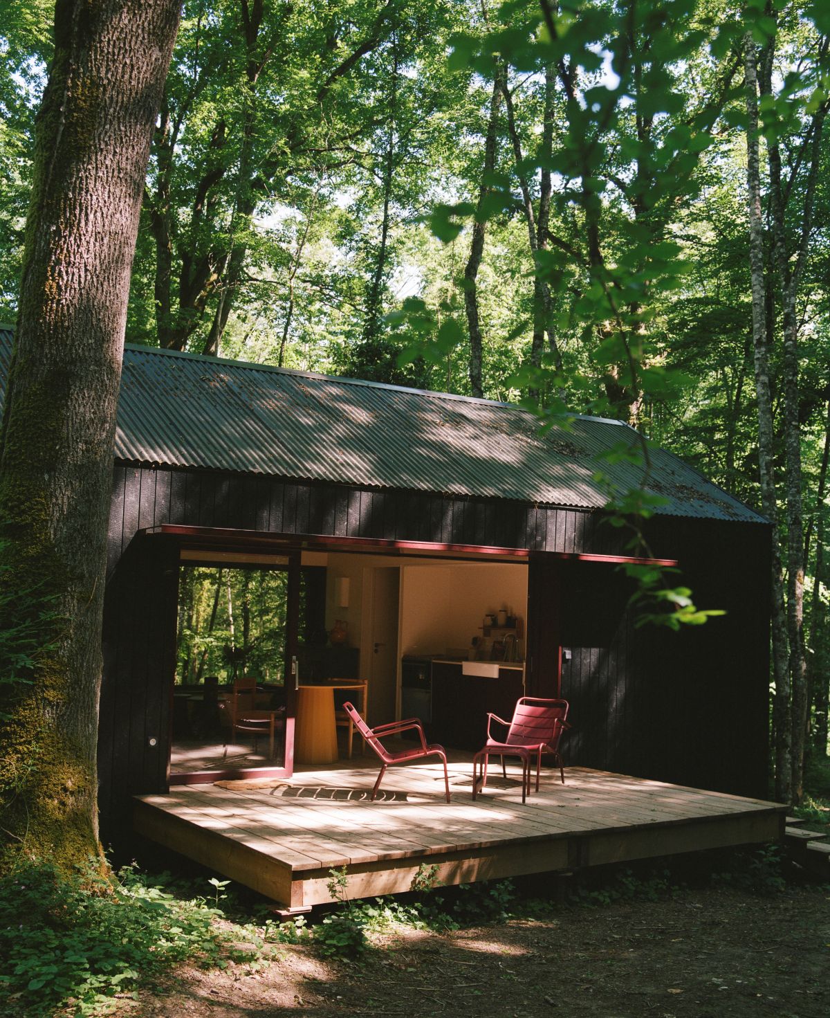 Lodge avec terrasse en forêt au Repère Sauvage Hôtel
