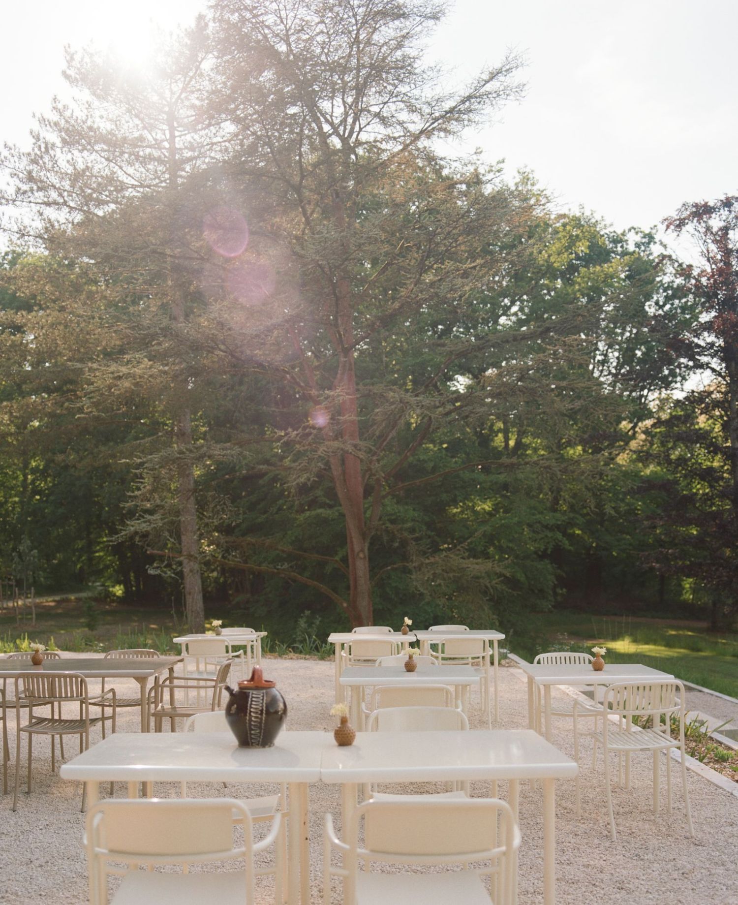 Terrasse aménagée dans le parc du Repère Sauvage