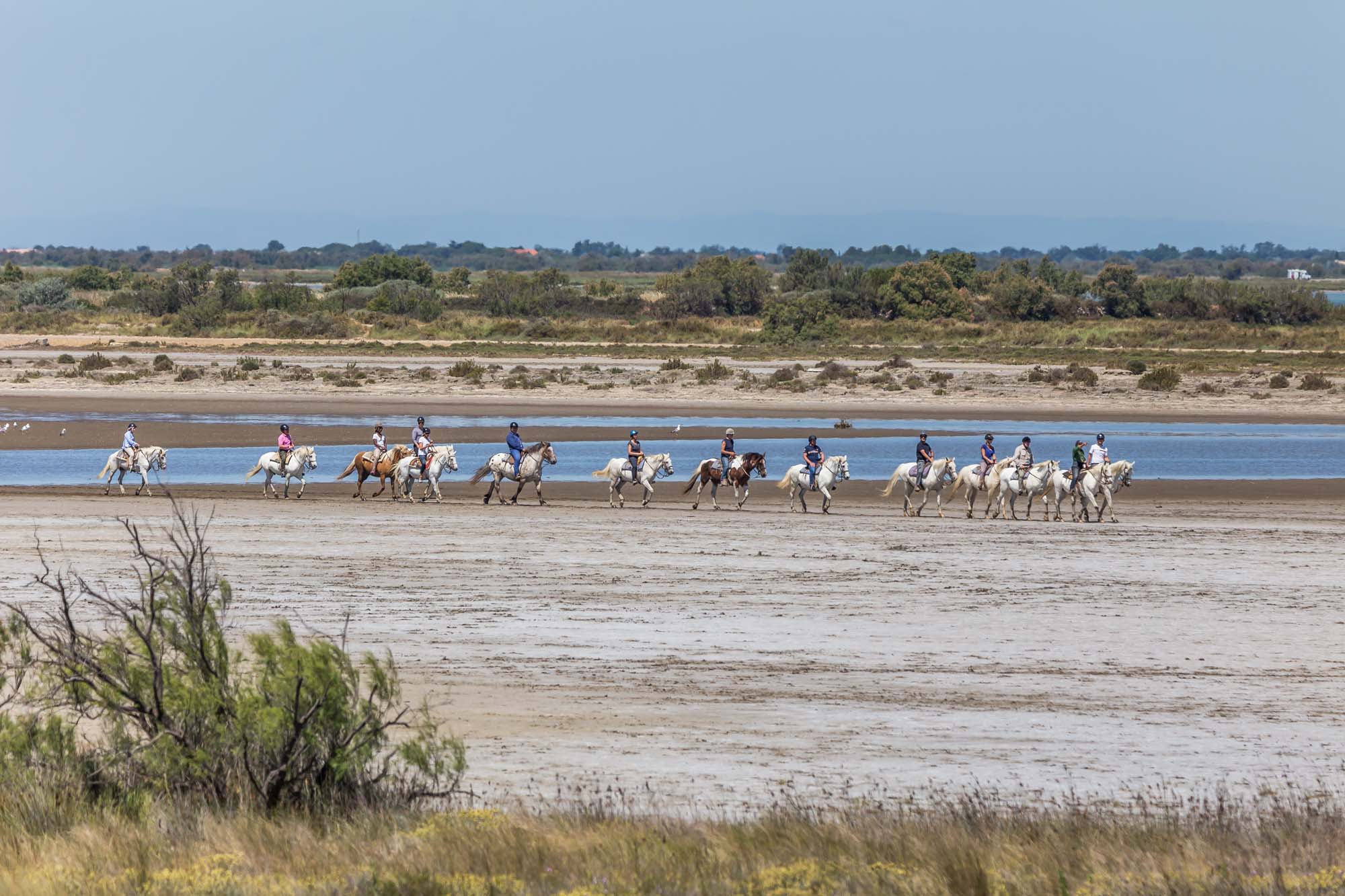 Présentation de la balade à chevale : Auberge Cavalière du Pont des Bannes