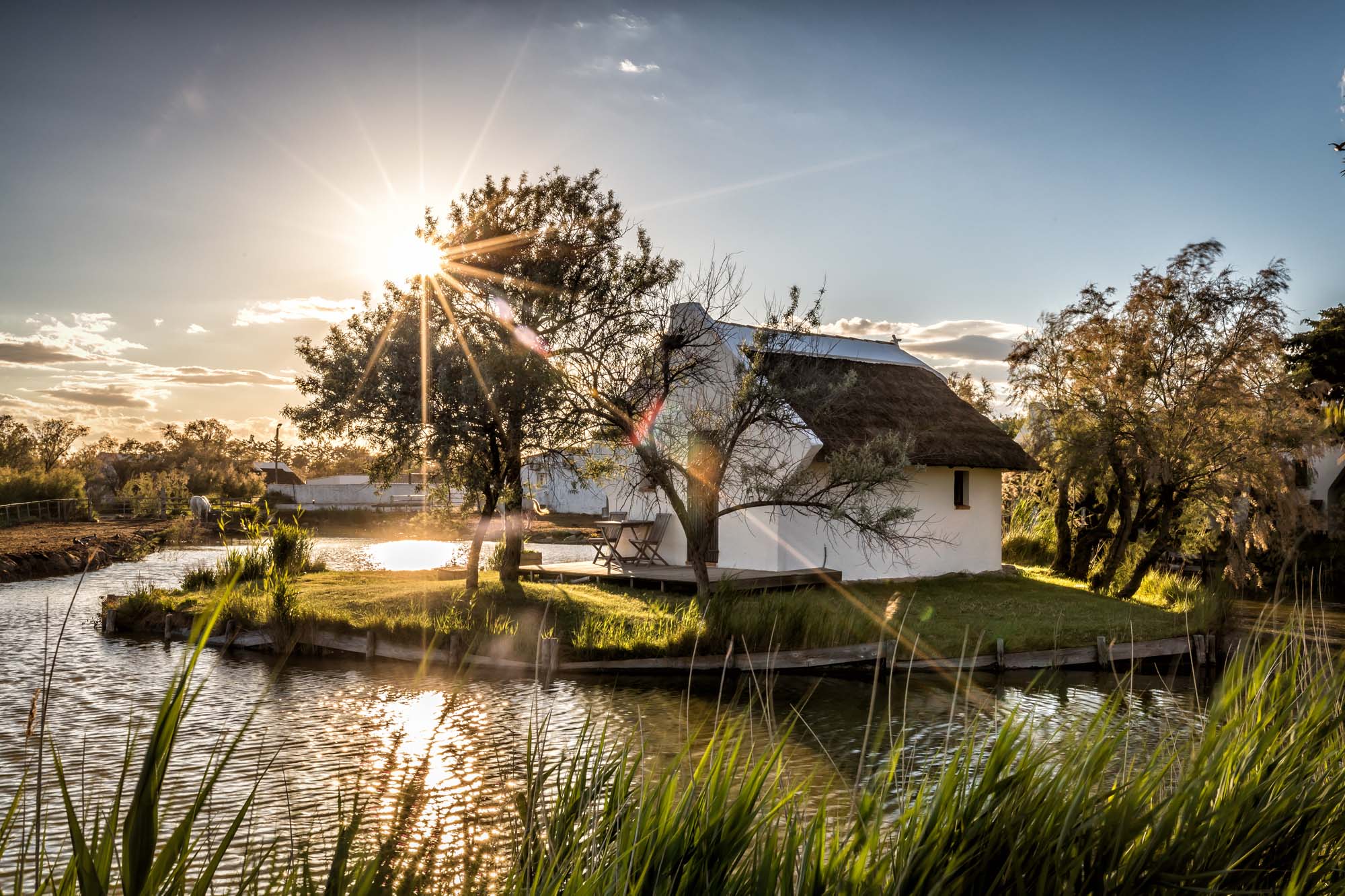 Domaine Extérieur Camargue Auberge Cavalière Du Pont Des Bannes