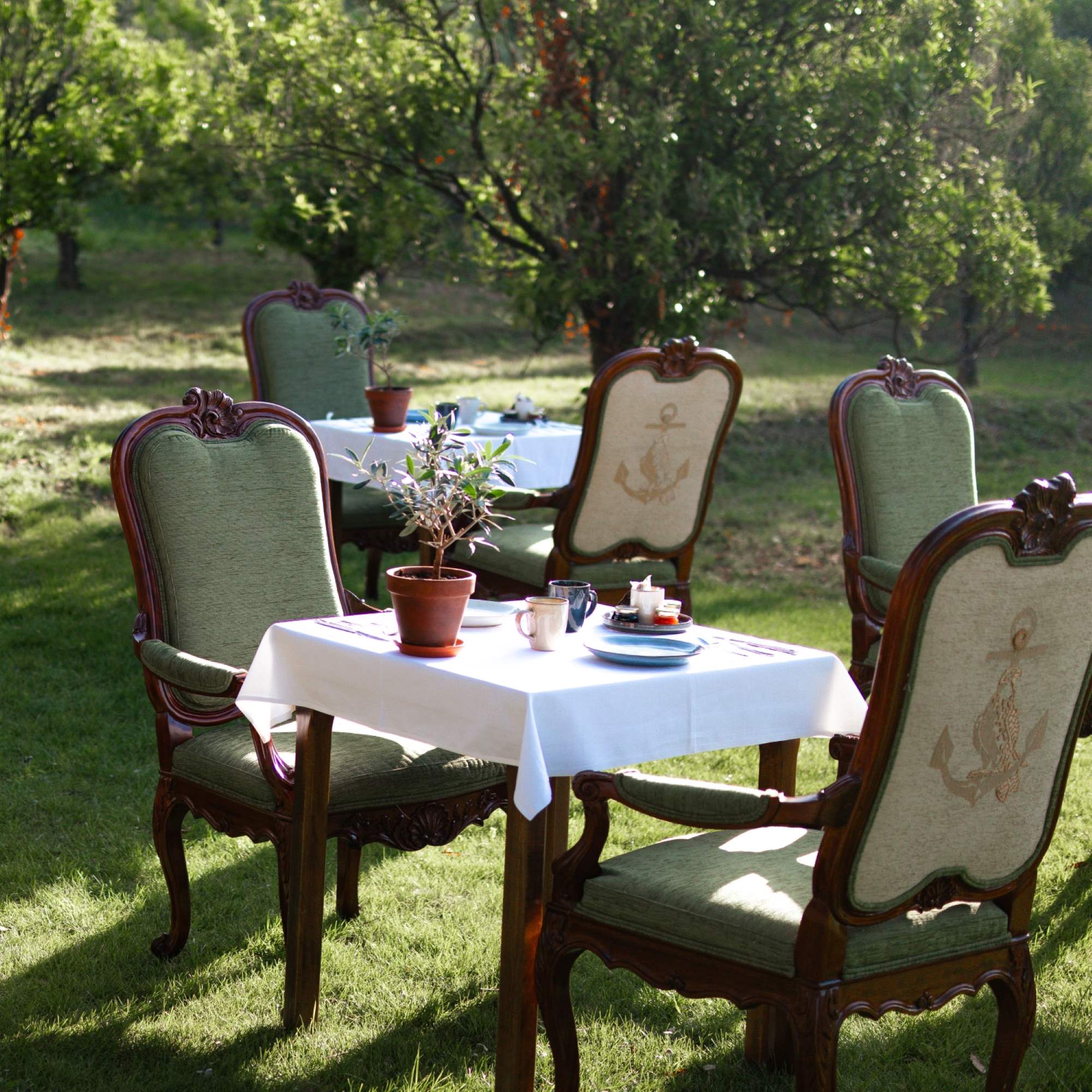 Espace de restauration extérieure dans le jardin de l’hôtel