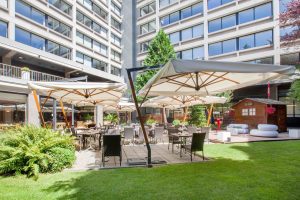 Une terrasse verdoyante pour des moments de détente en plein air