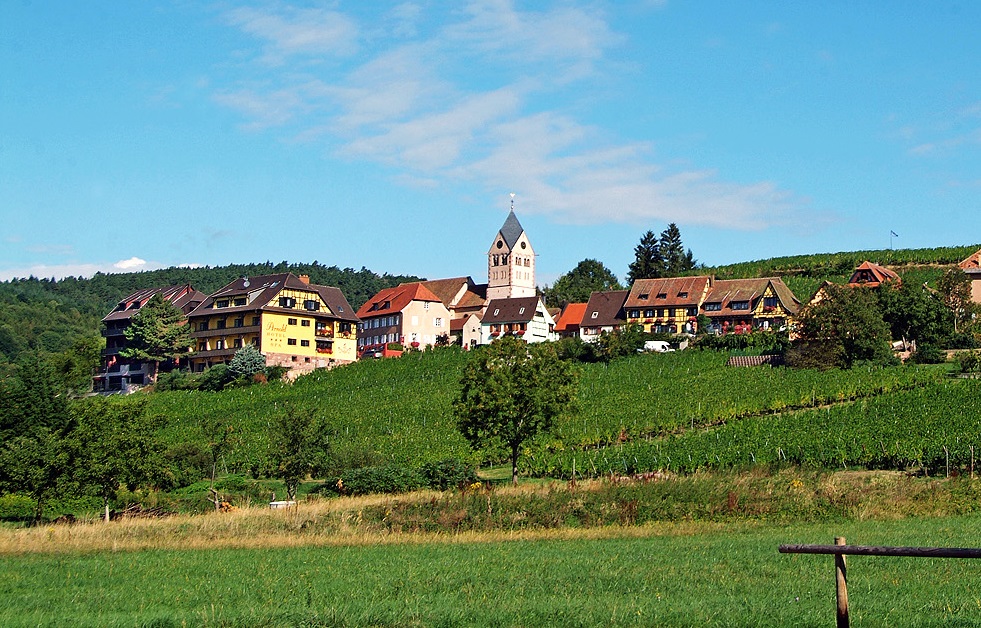 Vue panoramique sur Itterswiller et les vignes