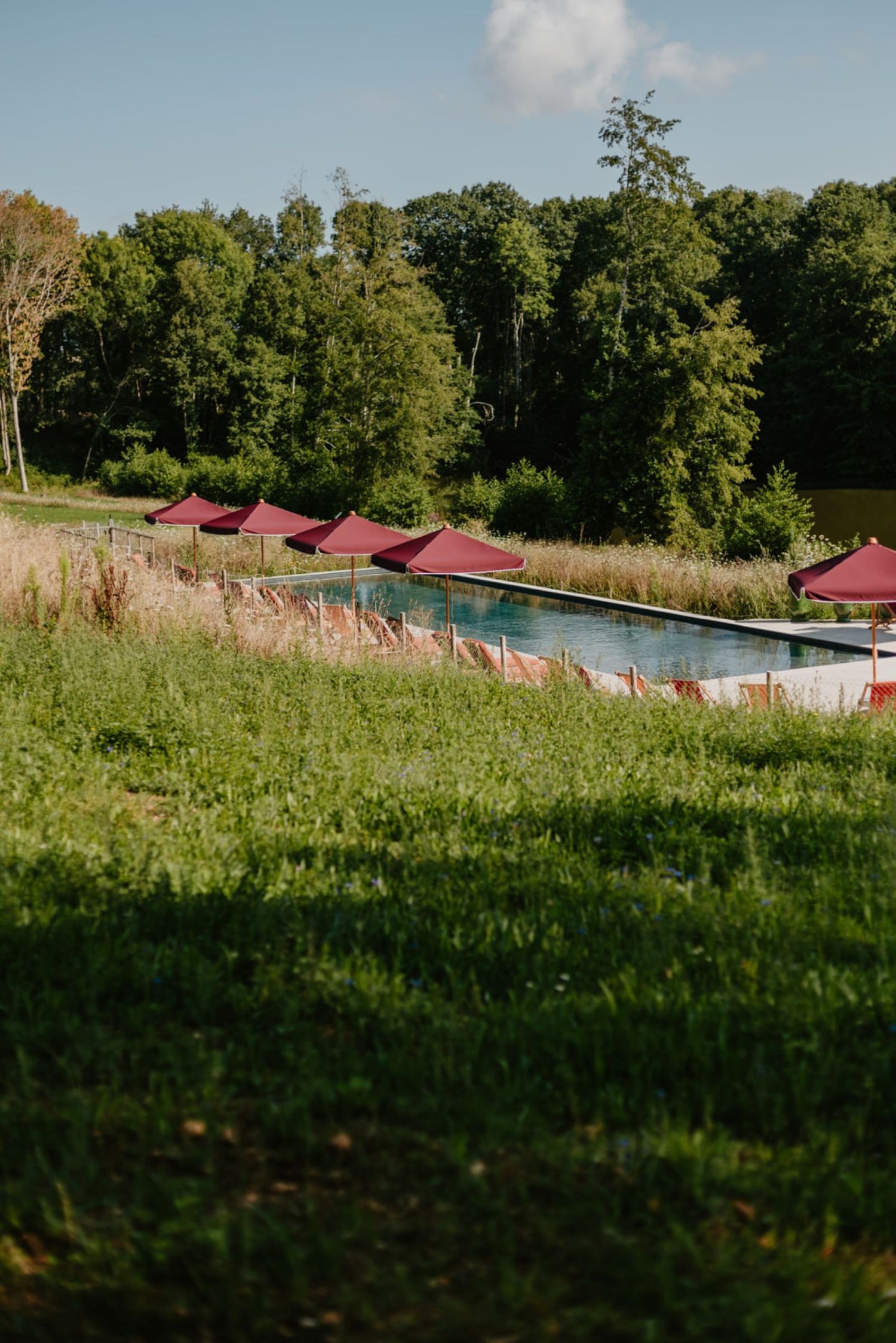 Piscine du Repère Sauvage