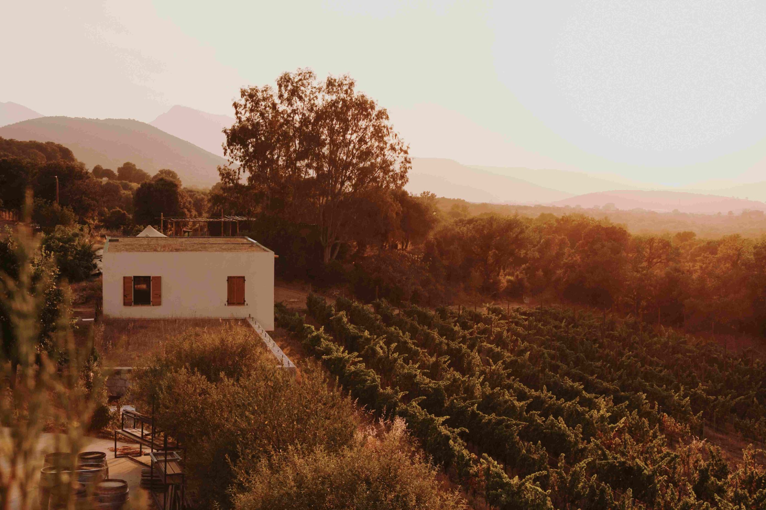 Cadre naturel du Domaine d’Alzipratu