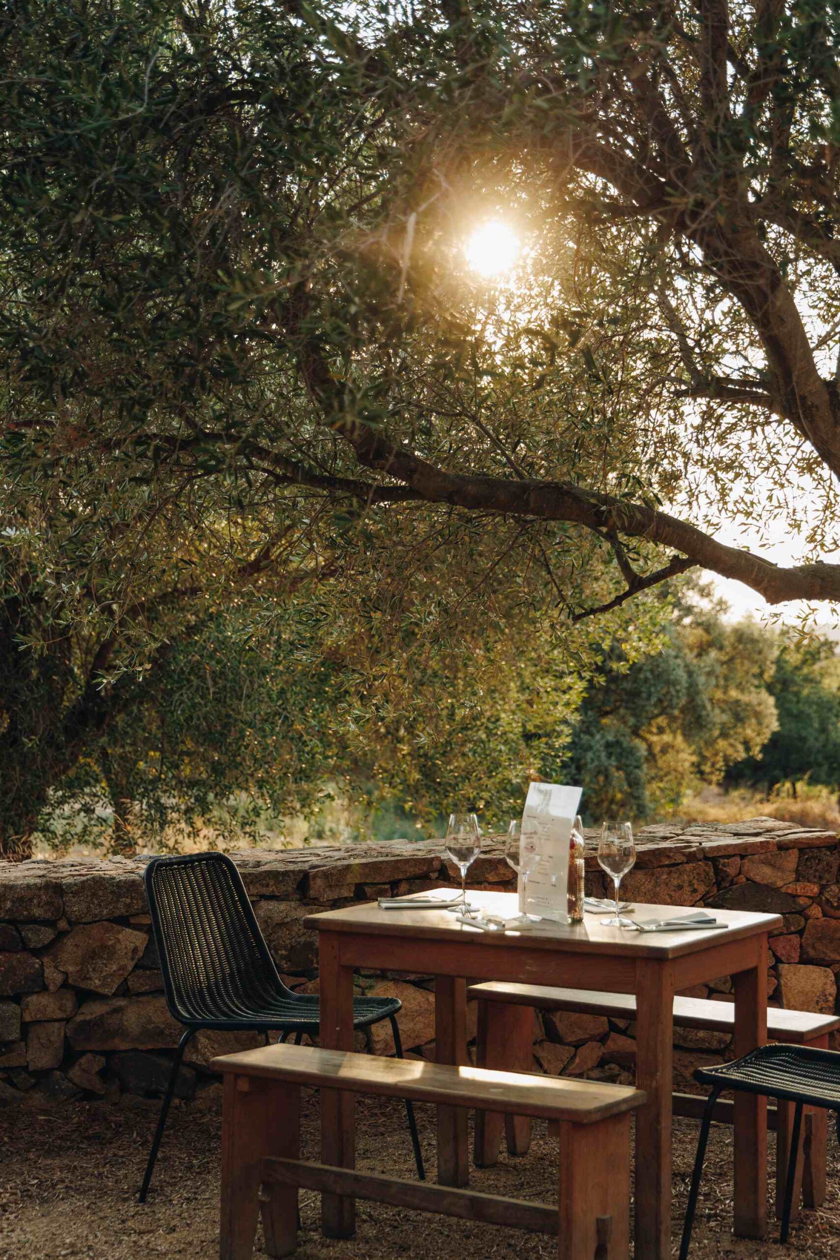 Structure événementielle au Domaine d’Alzipratu